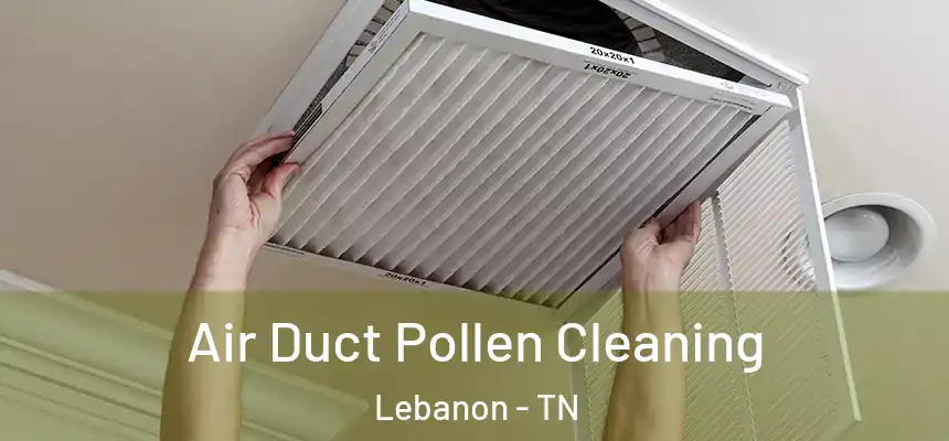  Air Duct Pollen Cleaning Lebanon - TN