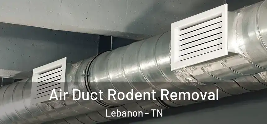  Air Duct Rodent Removal Lebanon - TN