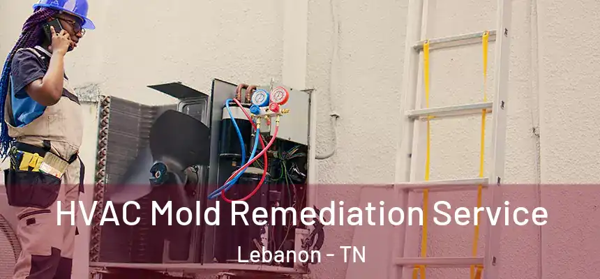  HVAC Mold Remediation Service Lebanon - TN