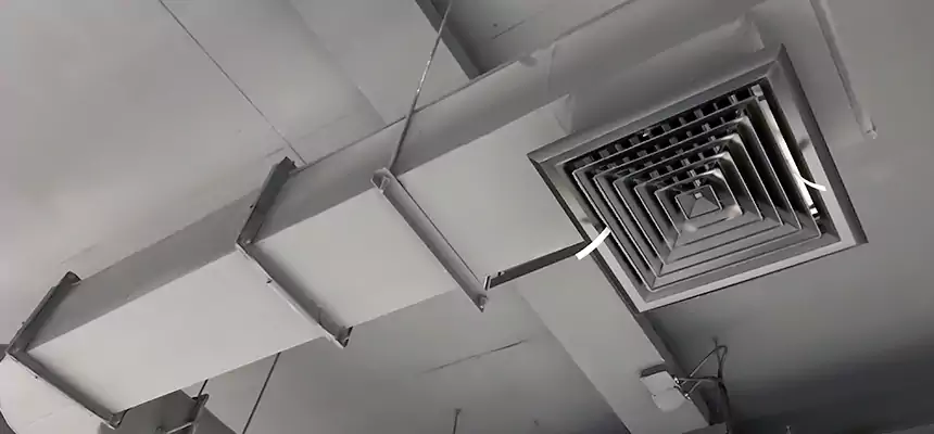 Our Pest Removal From Ducts Services in Lebanon, TN