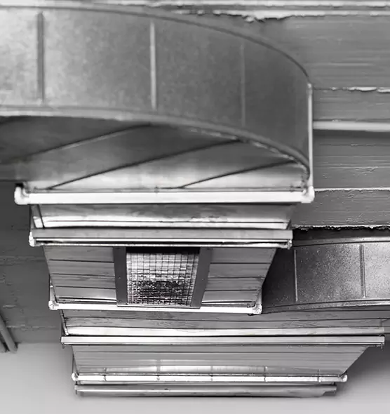 Professional Air Duct Pest Removal in Lebanon, TN