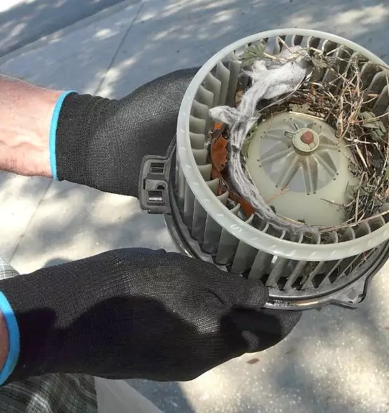 About Air Duct Rat Removal in Lebanon, TN