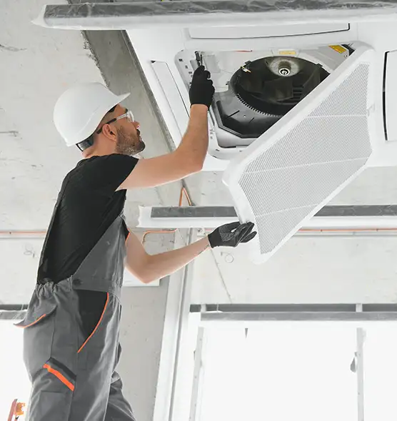 About Air Duct Rodent Removal in Lebanon, TN