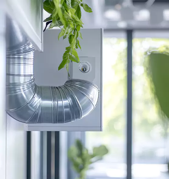 Professional Eco-Safe Dryer Vent Cleaning in Lebanon, TN