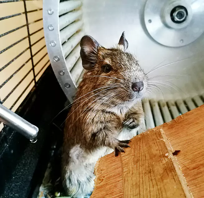 Why Homeowners & Businesses Trust Us Lebanon, TN?